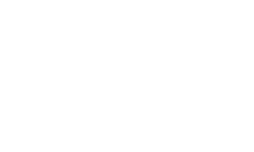 Verum Gaudium